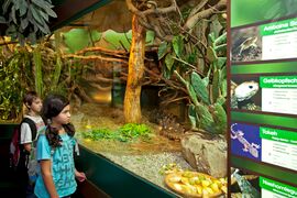 Haus der Natur