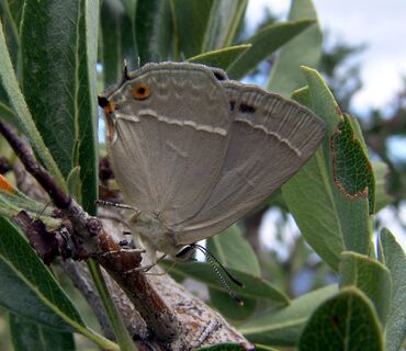 Haus der Natur