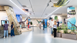 Haus der Natur