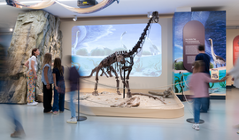 Haus der Natur