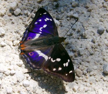 Haus der Natur