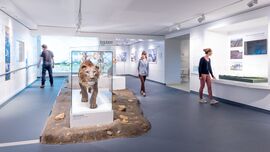 Haus der Natur
