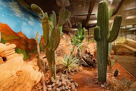 Haus der Natur