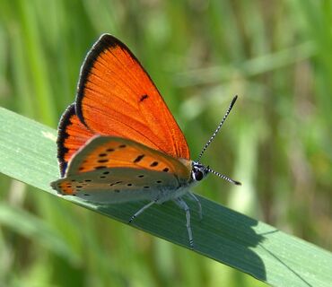 Haus der Natur