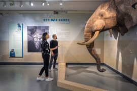 Haus der Natur