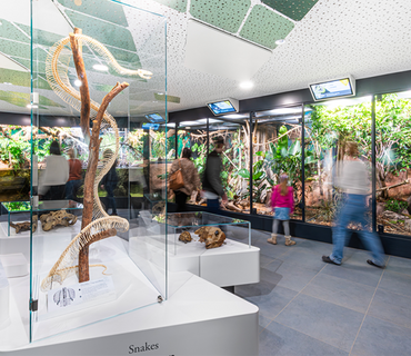 Haus der Natur