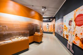 Haus der Natur