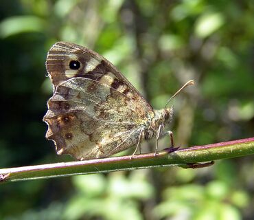 Haus der Natur