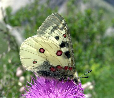 Haus der Natur