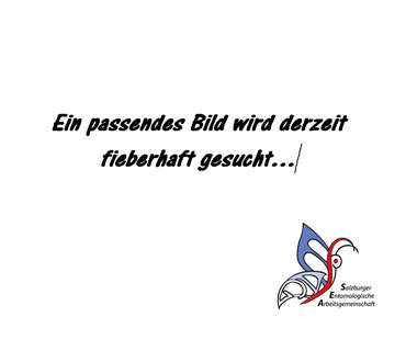 Haus der Natur