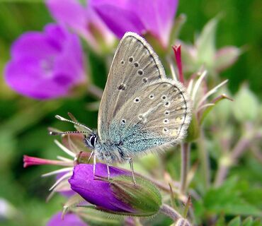 Haus der Natur