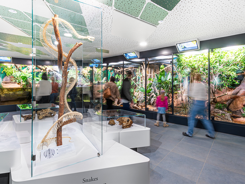 Haus der Natur