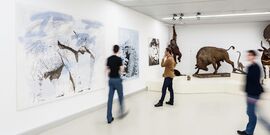 Haus der Natur