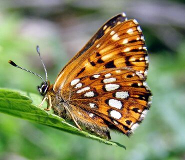 Haus der Natur