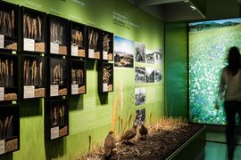 Haus der Natur