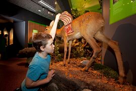 Haus der Natur