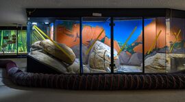 Haus der Natur