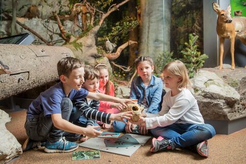 Haus der Natur