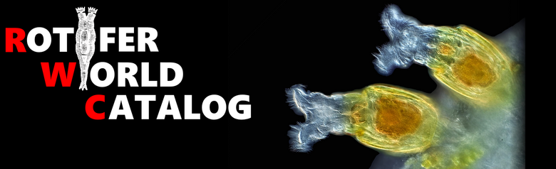 Rotifer World Catalog Imagebild