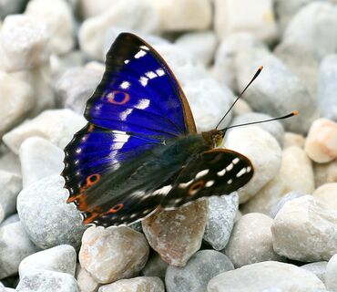 Haus der Natur