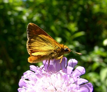 Haus der Natur
