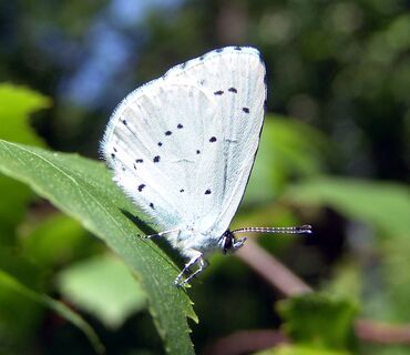 Haus der Natur