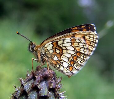 Haus der Natur