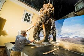 Haus der Natur