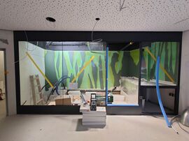 Haus der Natur