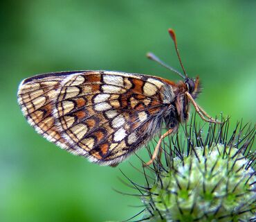 Haus der Natur