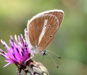 Haus der Natur
