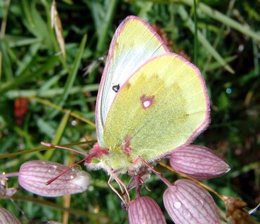 Haus der Natur