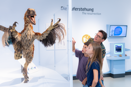 Haus der Natur
