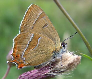 Haus der Natur