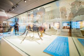 Haus der Natur