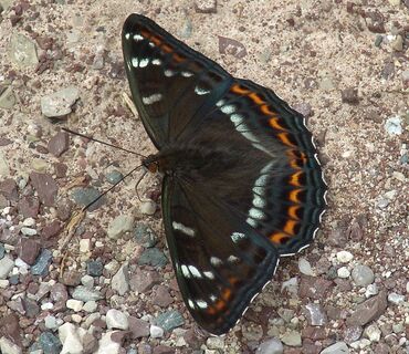 Haus der Natur