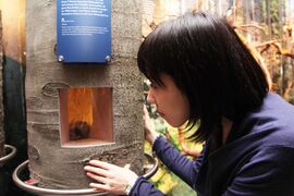 Haus der Natur