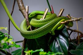 Haus der Natur