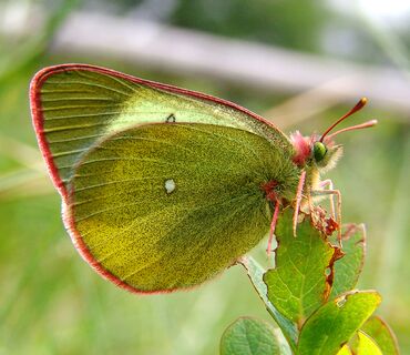 Haus der Natur