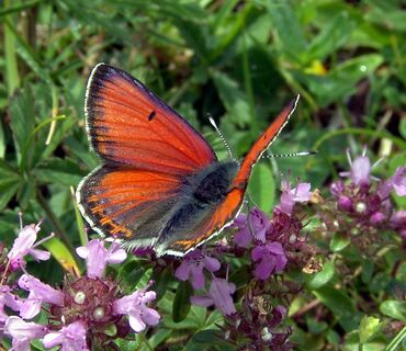 Haus der Natur