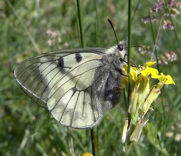 Haus der Natur