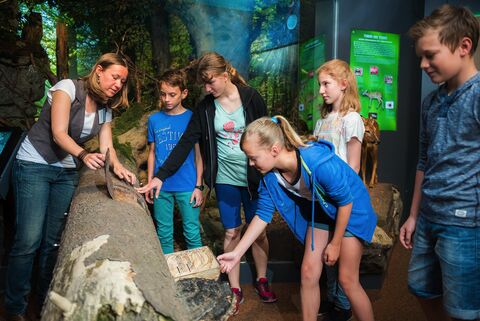 Haus der Natur