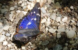 Haus der Natur