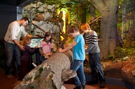 Haus der Natur