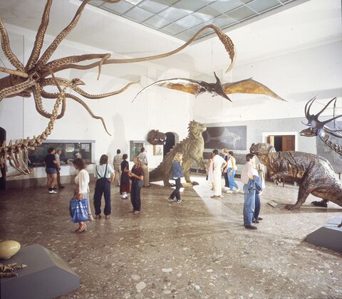 Haus der Natur