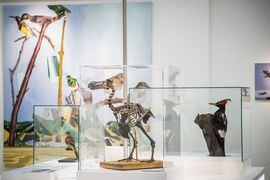Haus der Natur