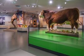 Haus der Natur
