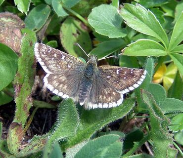 Haus der Natur