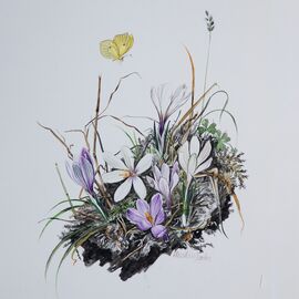 Haus der Natur