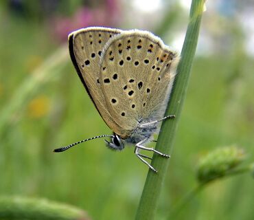 Haus der Natur
